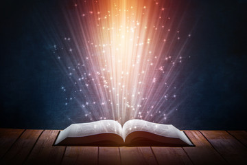 大海的儿童绘本