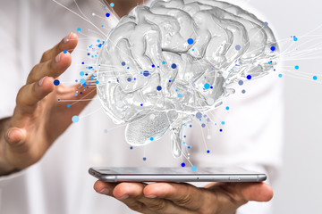 家中栽什么树旺财 3种镇宅又旺财的树