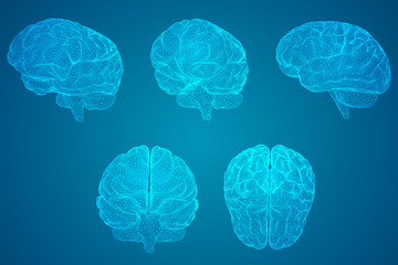 兔子用英语怎么说