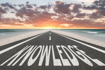 上大这5个特殊专业的介绍