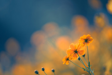 大海的儿童绘本