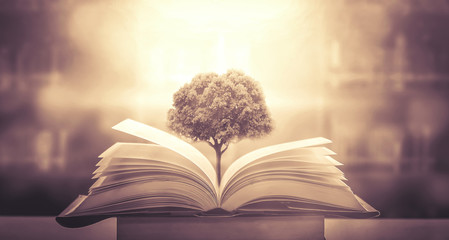 上大这5个特殊专业的介绍