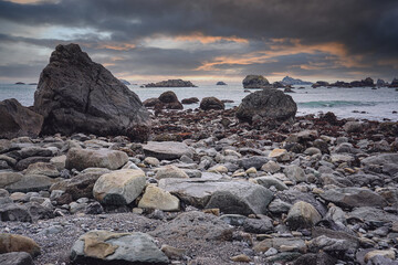 大海的儿童绘本