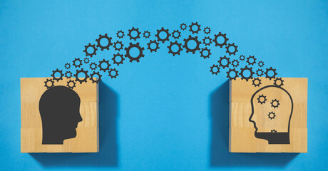 寒露节气养生常识有哪些-