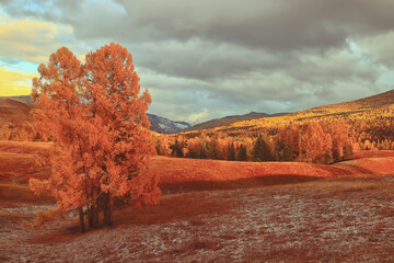 幼儿怎样保护牙齿
