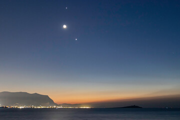 家中栽什么树旺财 3种镇宅又旺财的树