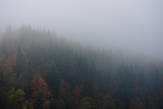 社区卫生个人总结