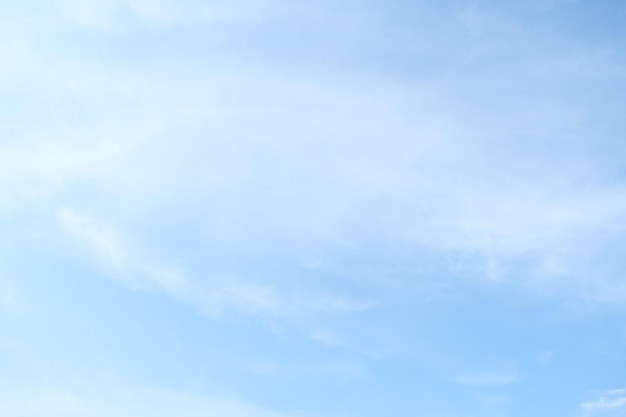 家中栽什么树旺财 3种镇宅又旺财的树