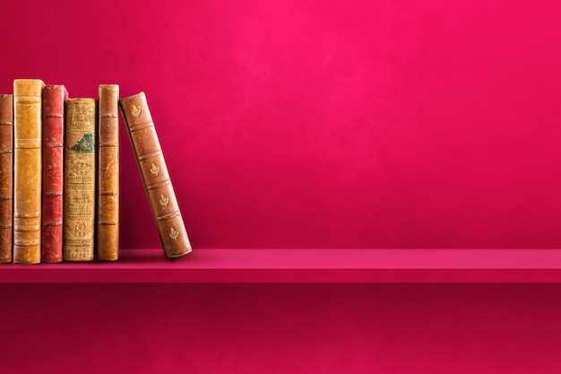 兔子用英语怎么说