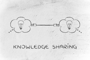 寒露节气养生常识有哪些-