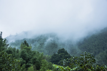 初一上地理南极洲的自然环境手抄报